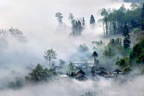 张建林   云雾山村15-3