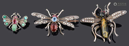 Three early 20th Century Continental 'bug' brooches