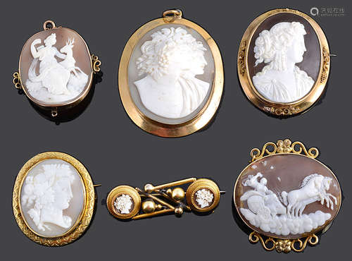 Six 19th Century carved shall cameo brooches