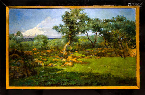 Michele Catti (Palermo 1855 – Palermo 1914). Bucolic landscape with olive trees and the mount Etna