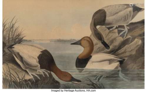 After John James Audubon (American, 1785-1851) C