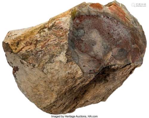 A Fossilized Dinosaur Bone, Jurassic Period, Mor