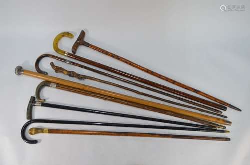 A collection of vintage walking sticks and canes