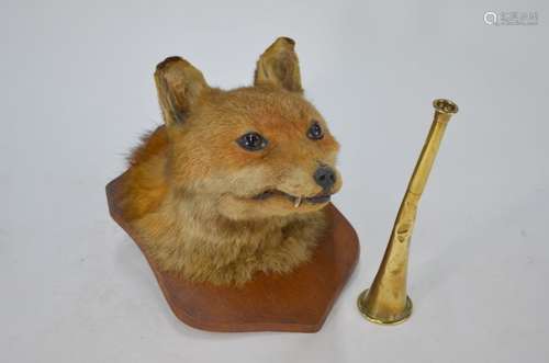 Taxidermy: a fox head to/w a brass hunting horn