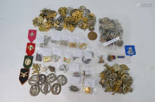 A large collection of military badges - British and foreign, in excess of 300