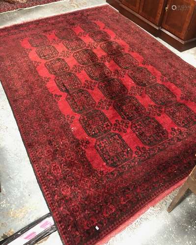 An old Afghan carpet, the black gul design on dull red ground