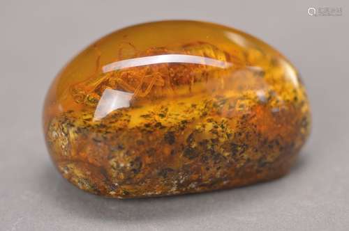 amber with Inclusion