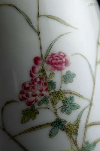 Chinese Porcelain Vase with Duck and Peony