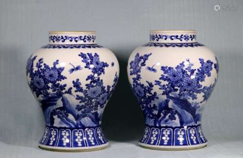 Pair Chinese Blue White Porcelain Jars with Bird Scene
