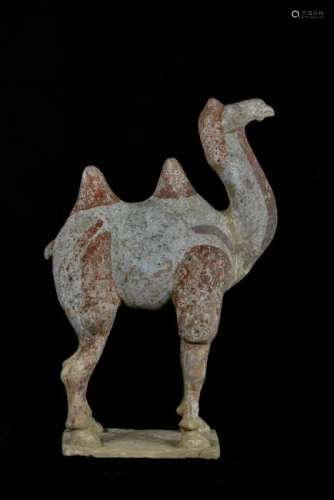 Chinese Han Pottery Camel - Head Up