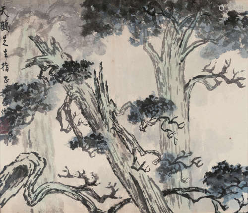 钱松嵒 1899-1985 柏树