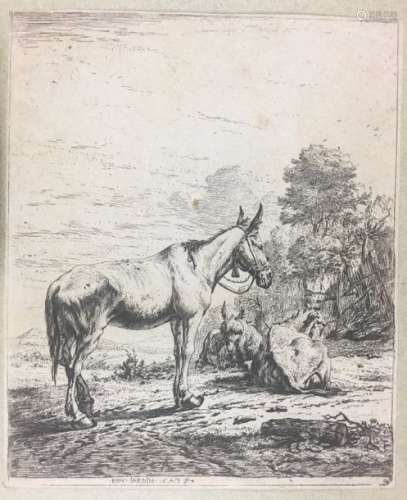 Karel DU JARDIN.1622 1678 Animali in riposo. 1653 …