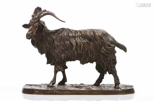 Pierre-Jules Mène (França, 1810-1879)A Billy goatPatinated bronze sculptureMarked P.J. Mène19x24,