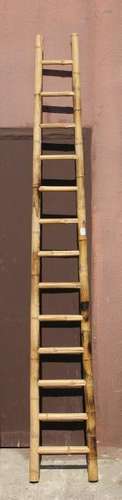 Asian ladder