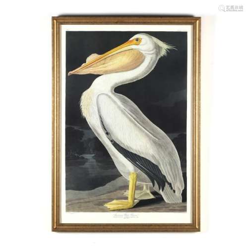 after John James Audubon (Amerian, 1785â1851),