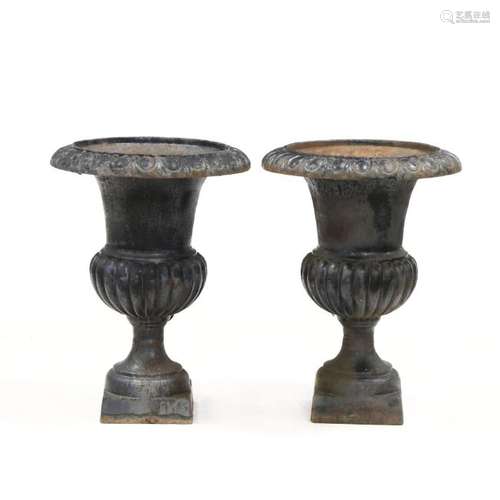 Pair of Classical Style Cast Iron Garden Urns