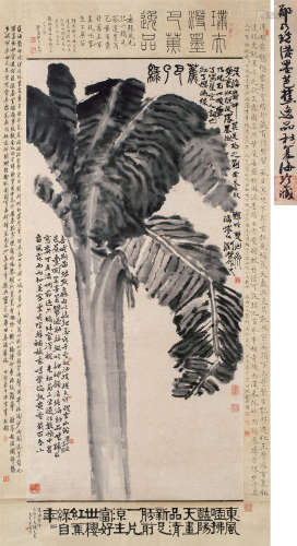 郑乃珖 1948年作 绿了巴蕉 立轴 水墨纸本