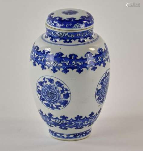 Chinese Kangxi Porcelain Lotus Seeds Jar