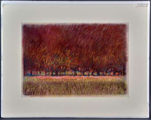 Rayen, Crayon Drawing of Trees in Autumn