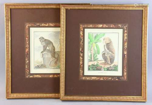 Two 18thC Copper Plate Engravings of Monkeys