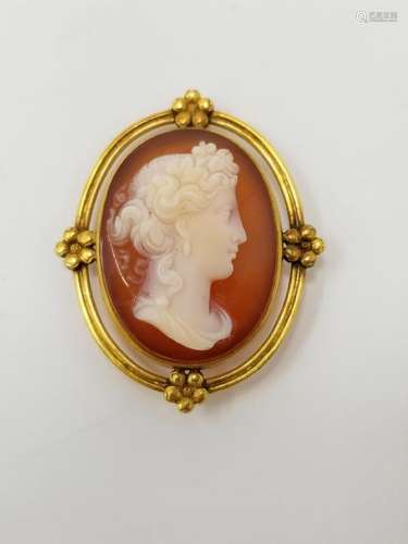 10K Gold & Resin Cameo Pin