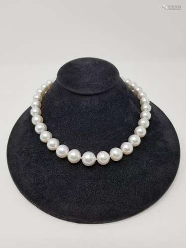 South Sea White Pearl Necklace 11-14mm