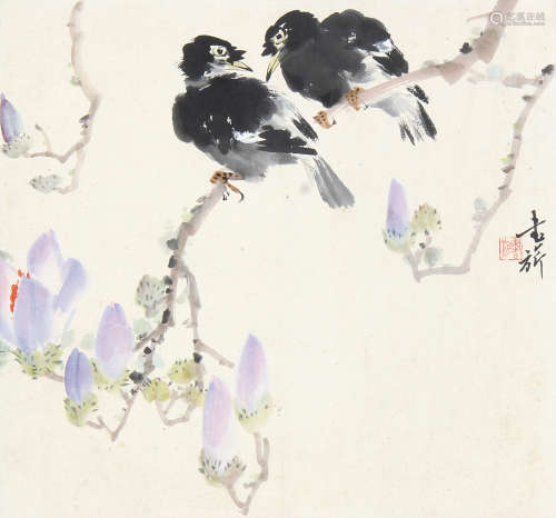 张书旂 （1900-1957） 玉兰双栖 设色纸本镜片