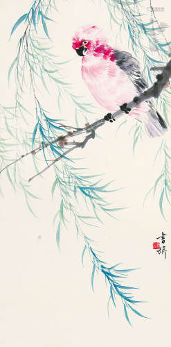 张书旂 （1900-1957） 柳枝鹦鹉 设色纸本立轴