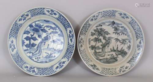 A PAIR OF CHINESE WANLI PERIOD BLUE & WHITE SHIPWRECK PORCELAIN PEACOCK DISHES. 26.6cm diameter. (
