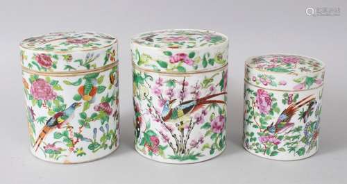 THREE GOOD CHINESE CANTON FAMILLE ROSE CYLINDRICAL PORCELAIN TEA CADDIES, the caddies decorated with