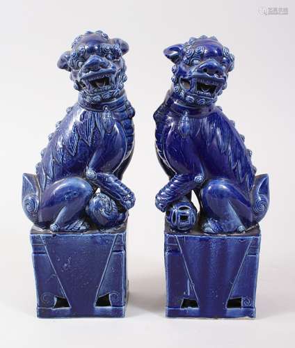 A PAIR OF 19TH / 20TH CENTURY CHINESE BLUE GROUUND PORCELAIN LION DOGS, with their front paw