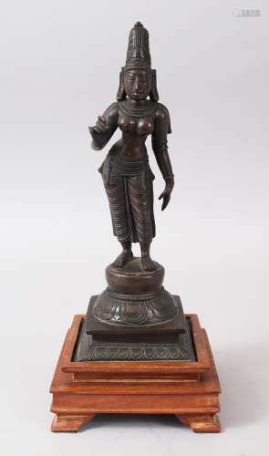 A LATE 19TH / EARLY 20TH CENTURY INDIAN BRONZE FIGURE OF PARVATI GODDESS / DEITY, stood with one