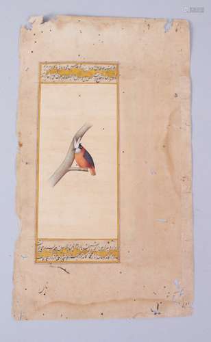 AN 18TH-19TH CENTURY INDO PERSIAN MINIATURE PAINTING OF A BIRD, the reverse side with calligraphy,