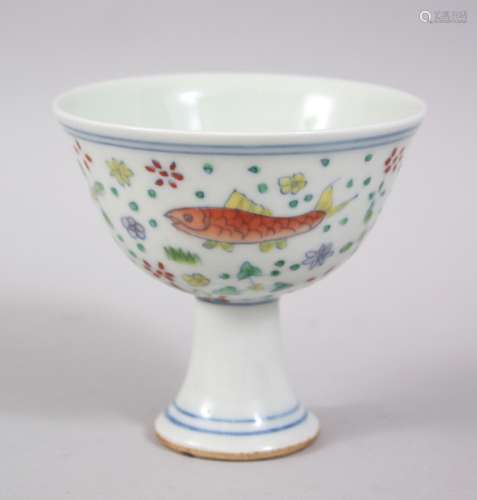 A GOOD CHINESE DOUCAI PORCELAIN STEM CUP, the body of the cup decorated with scenes of fish /