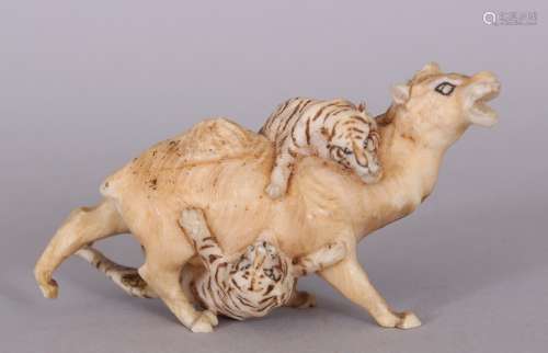 A JAPANESE MEIJI PERIOD CARVED IVORY OKIMONO OF TWO TIGERS ATTACKING A CAMEL, the details
