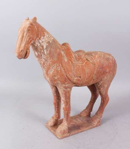 A GOOD CHINESE TANG TERRACOTTA POTTERY HORSE. 35cm high, 35 cm long.