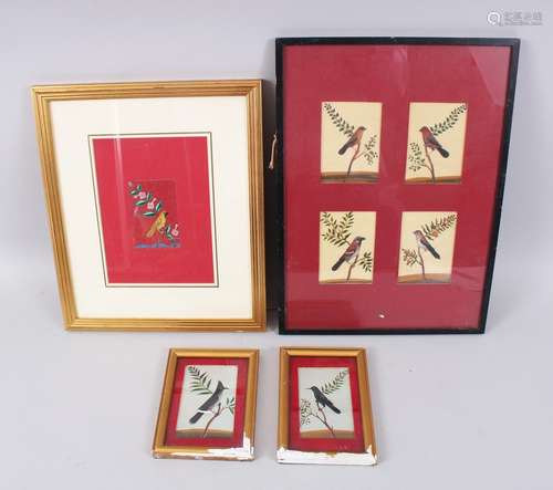 A COLLECTION OF SEVEN VARIOUS 19TH CENTURY BIRD PAINTINGS ON MICA in four frames.