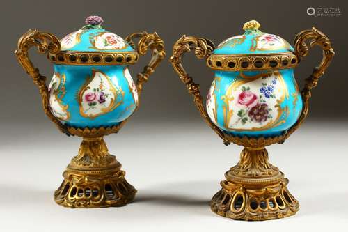 A PAIR OF 19TH CENTURY SEVRES SMALL PORCELAIN URNS AND COVERS, decorated with panels of flowers,