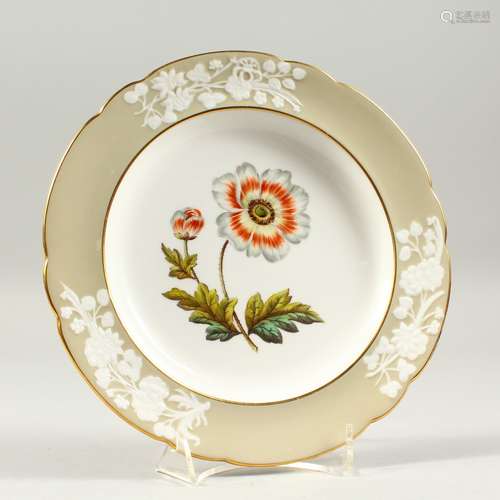 A SPODE BOTANICAL PLATE 