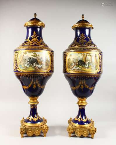 A SUPERB PAIR OF LARGE SEVRES VASES AND COVERS, with rich ormolu mounts and pineapple finials, the