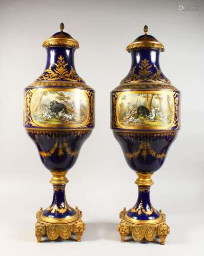 A SUPERB PAIR OF LARGE SEVRES VASES AND COVERS, with rich ormolu mounts and pineapple finials, the