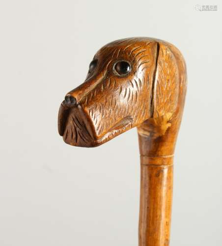 A 20TH CENTURY WALKING STICK, the handle carved as a dog's head. 92cms long.