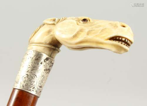 A WALKING STICK with carved ivory handle as a horse's head, with engraved silver band.