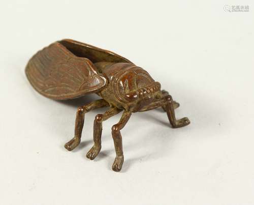 A JAPANAESE BRONZE OF A FLY. 2ins long.