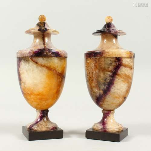 A SUPERB PAIR OF 19TH CENTURY BLUE JOHN URN SHAPED VASES on black square bases. 7.5ins high.