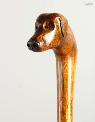 A 20TH CENTURY WALKING STICK, the handle carved as a dog's head. 96cms long.