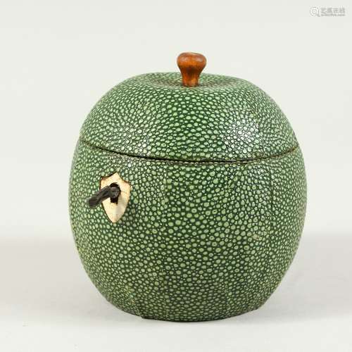 A GOOD SHAGREEN APPLE SHAPED TEA CADDY. 11cms high.