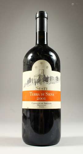 TERRA DI SIENA 2001, one magnum.