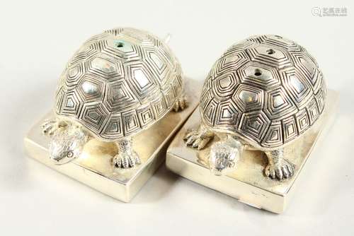 A SMALL PAIR OF NOVELTY .800 TURTLE SALT AND PEPPERS. 5.5cms long.