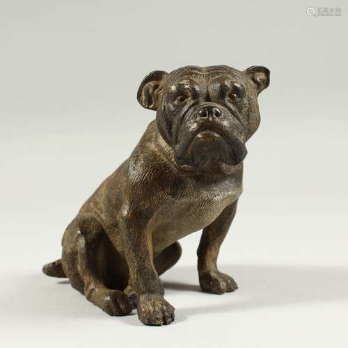 A VIENNA COLD CAST SEATED BULLDOG. 12cms hugh.